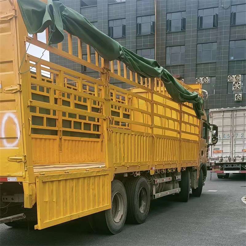 山东东营广饶县至宜宾货运专线一站式物流服务，让货物畅行无忧